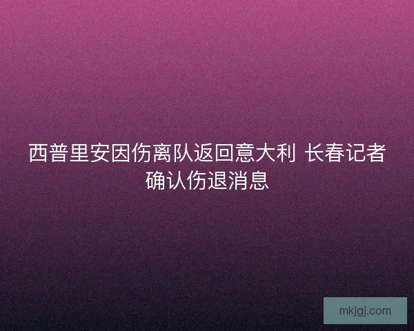 西普里安因伤离队返回意大利 长春记者确认伤退消息